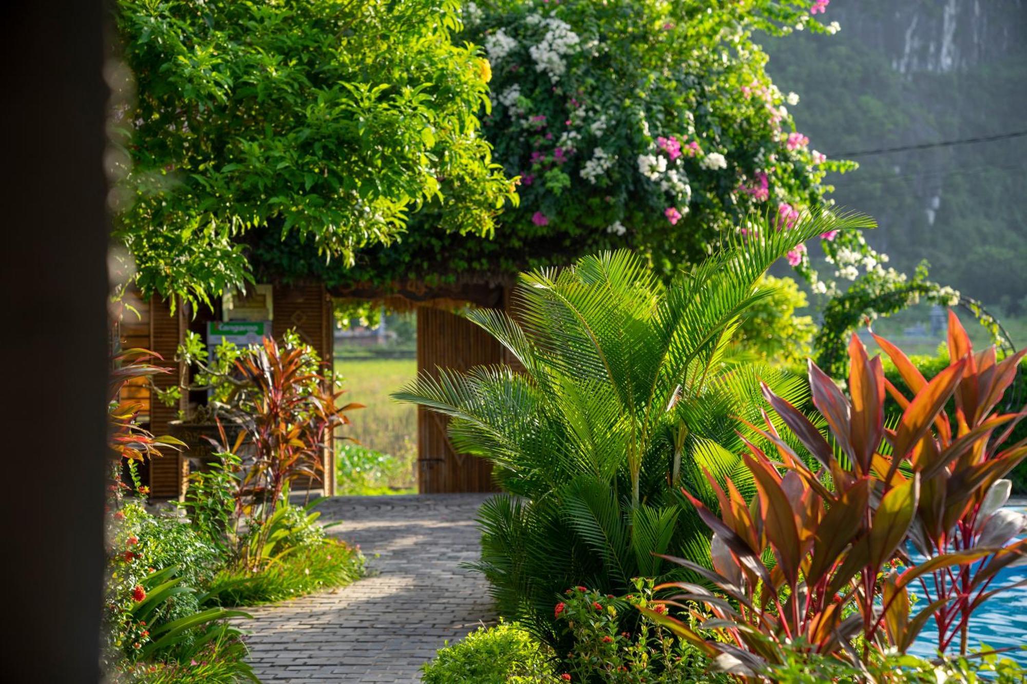 נין בין Tam Coc Minh Hung Homestay מראה חיצוני תמונה