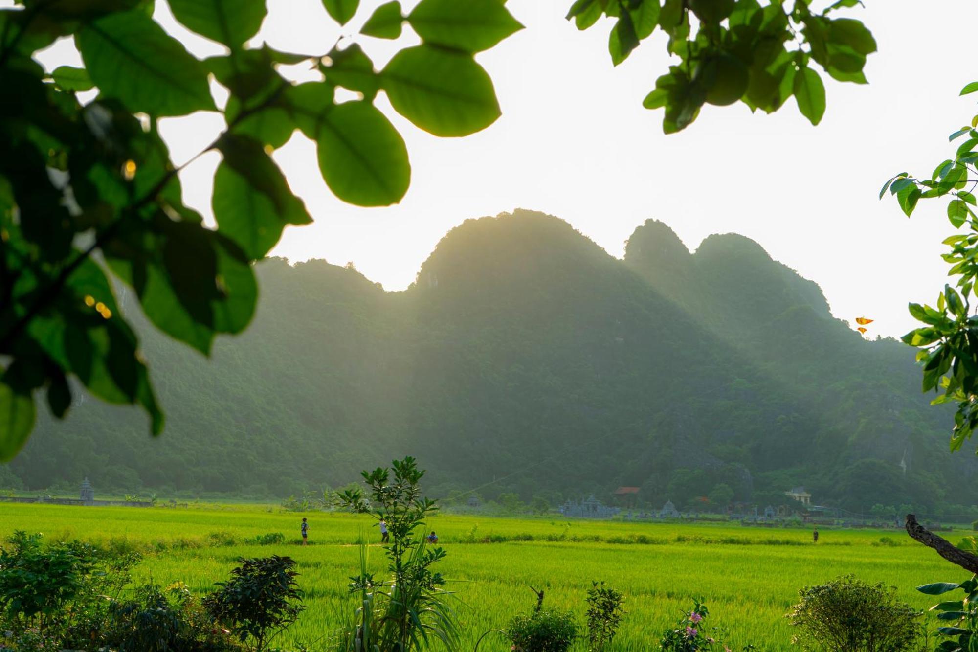 נין בין Tam Coc Minh Hung Homestay מראה חיצוני תמונה
