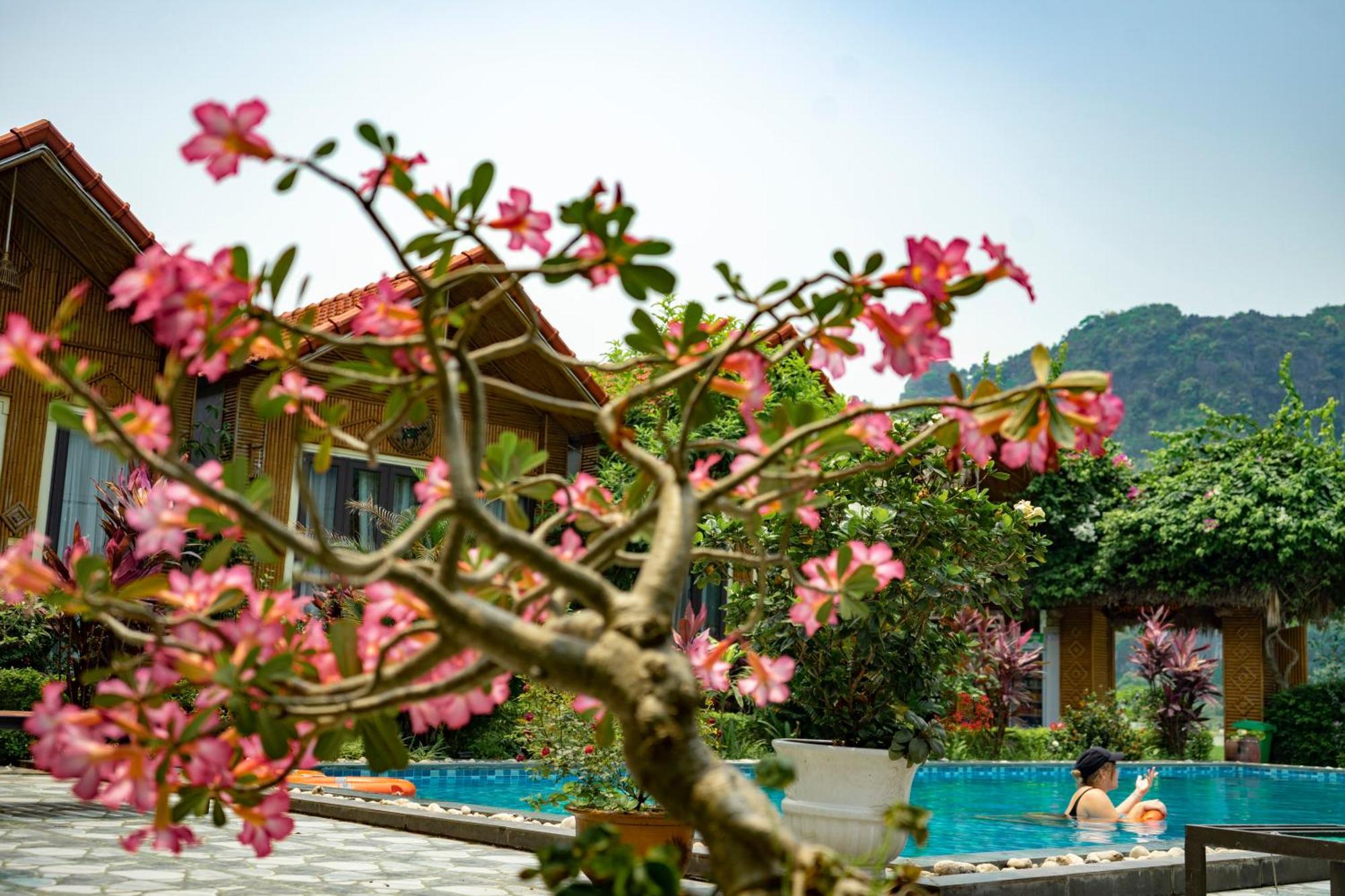 נין בין Tam Coc Minh Hung Homestay מראה חיצוני תמונה